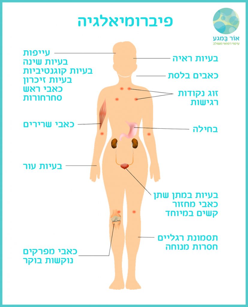 signs and symptoms of fibromyalgia. Human silhouette with internal organs. Vector illustration